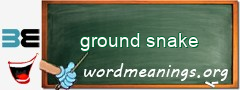 WordMeaning blackboard for ground snake